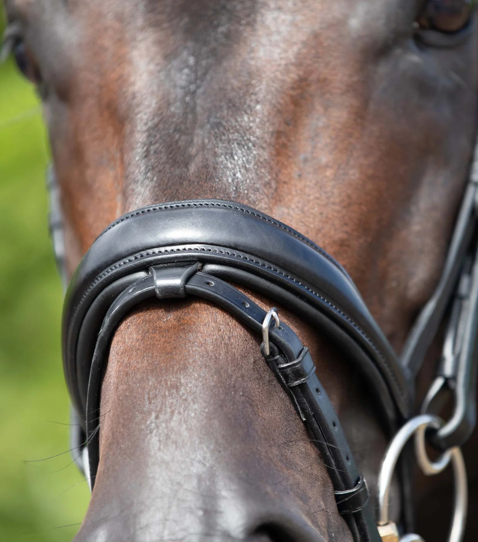 Premier Equine Stellazio Anatomic Snaffle Bridle with Flash-9