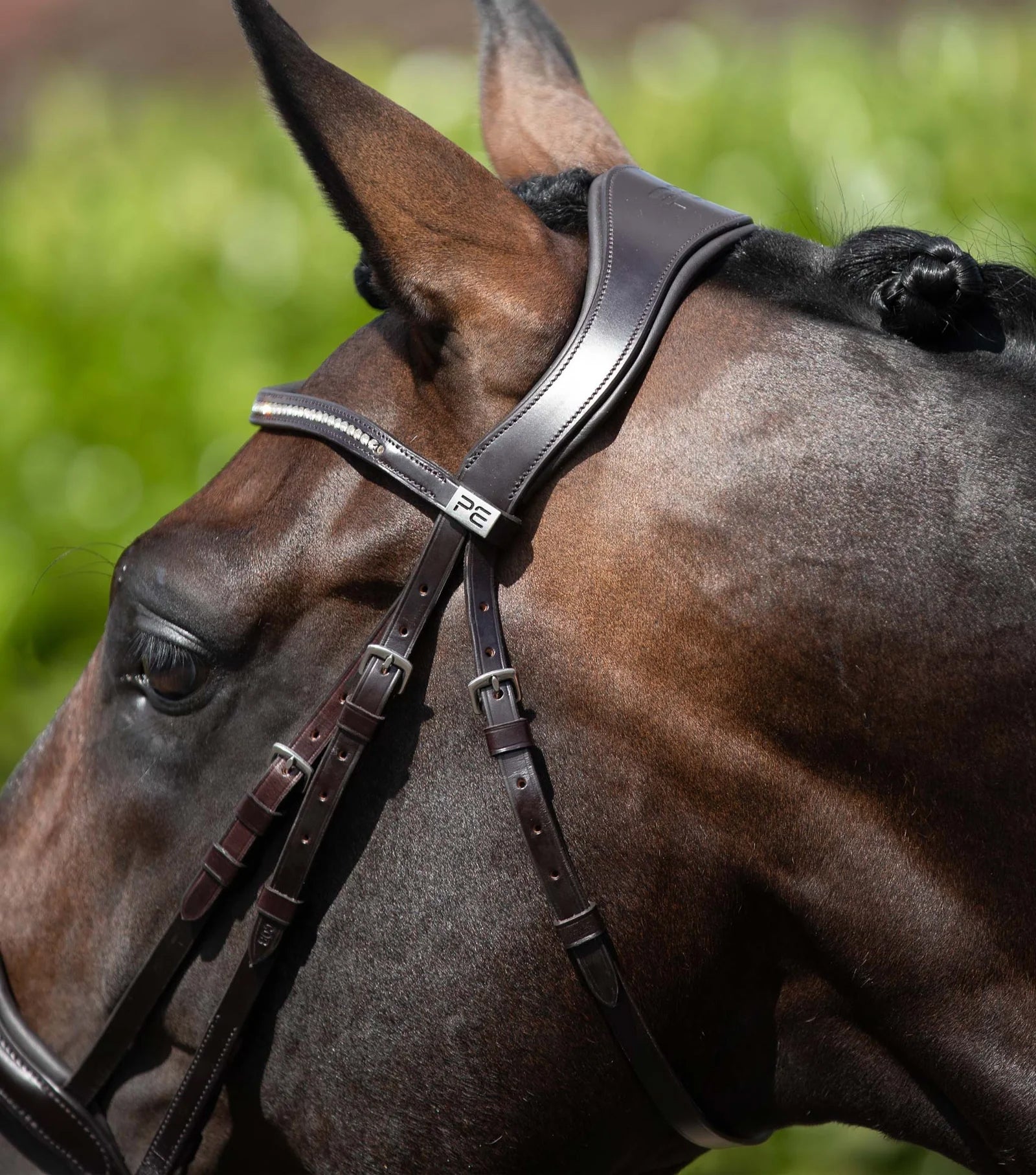 Premier Equine Stellazio Anatomic Snaffle Bridle with Flash-3
