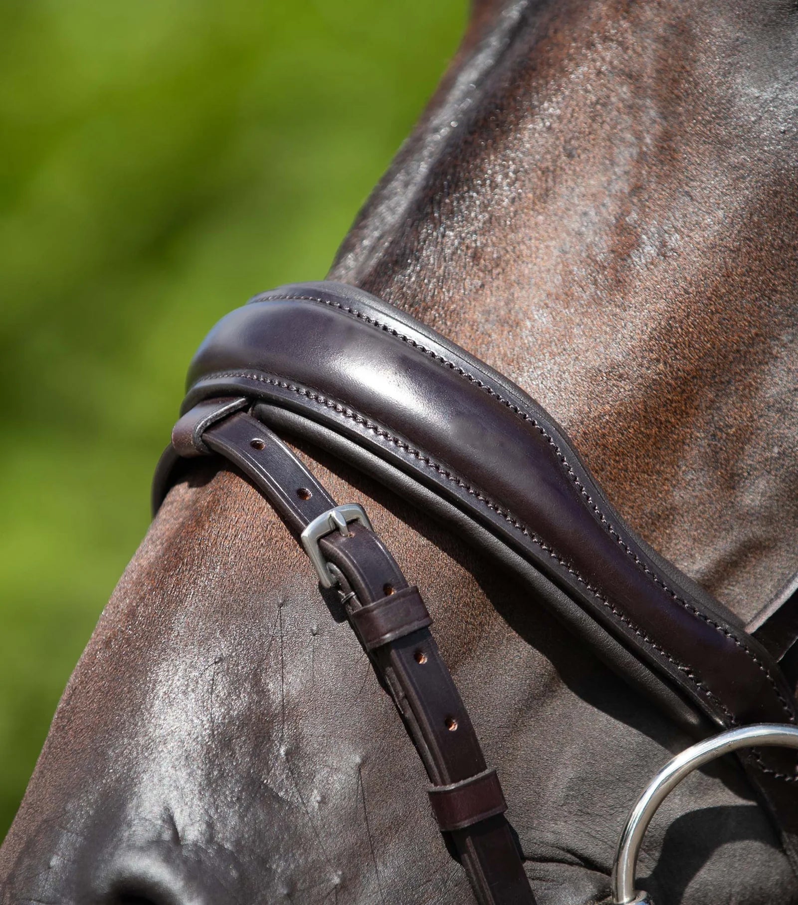 Premier Equine Stellazio Anatomic Snaffle Bridle with Flash-4