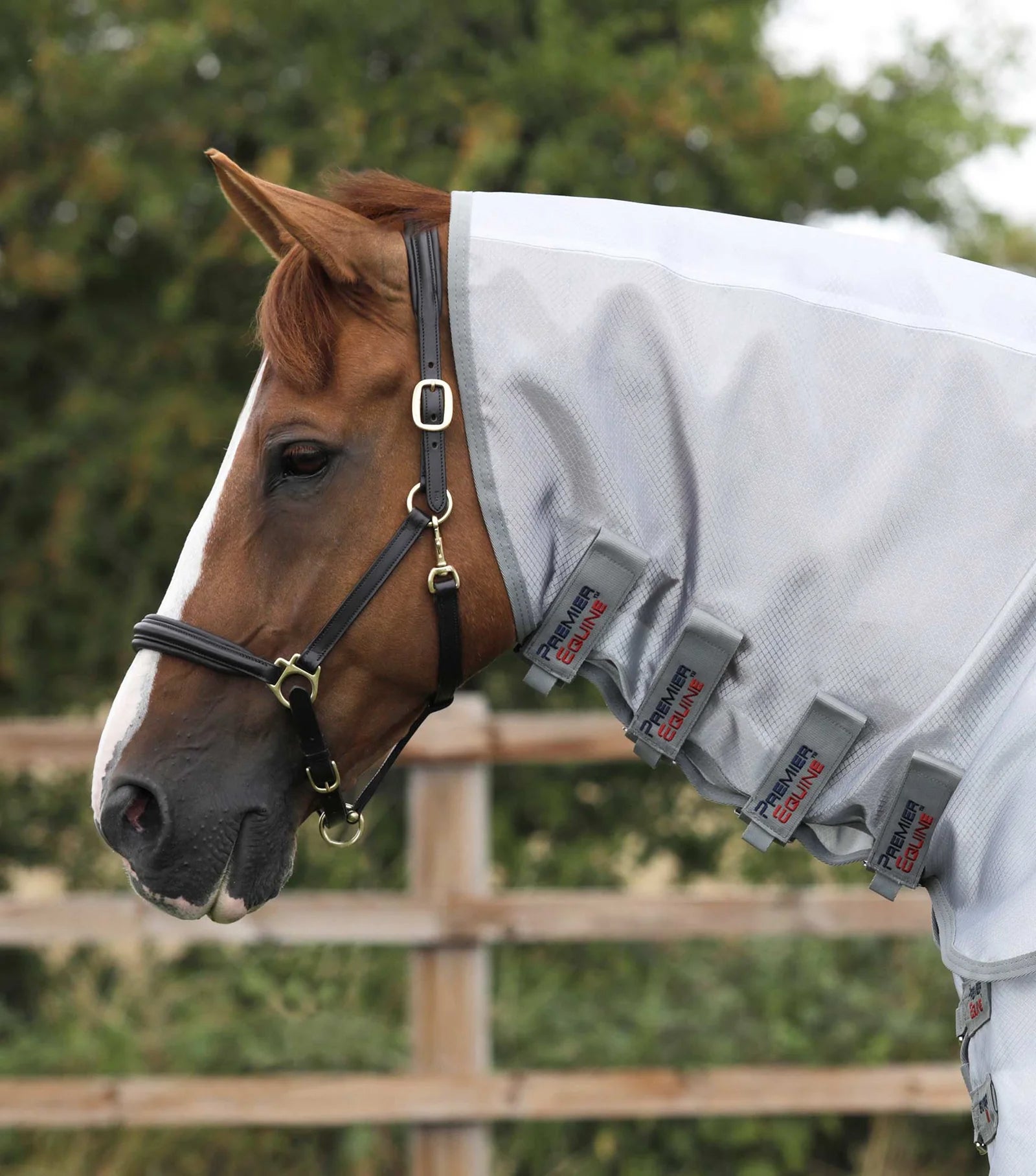 Premier Equine ShowerTex Fly Rug with Surcingles-2
