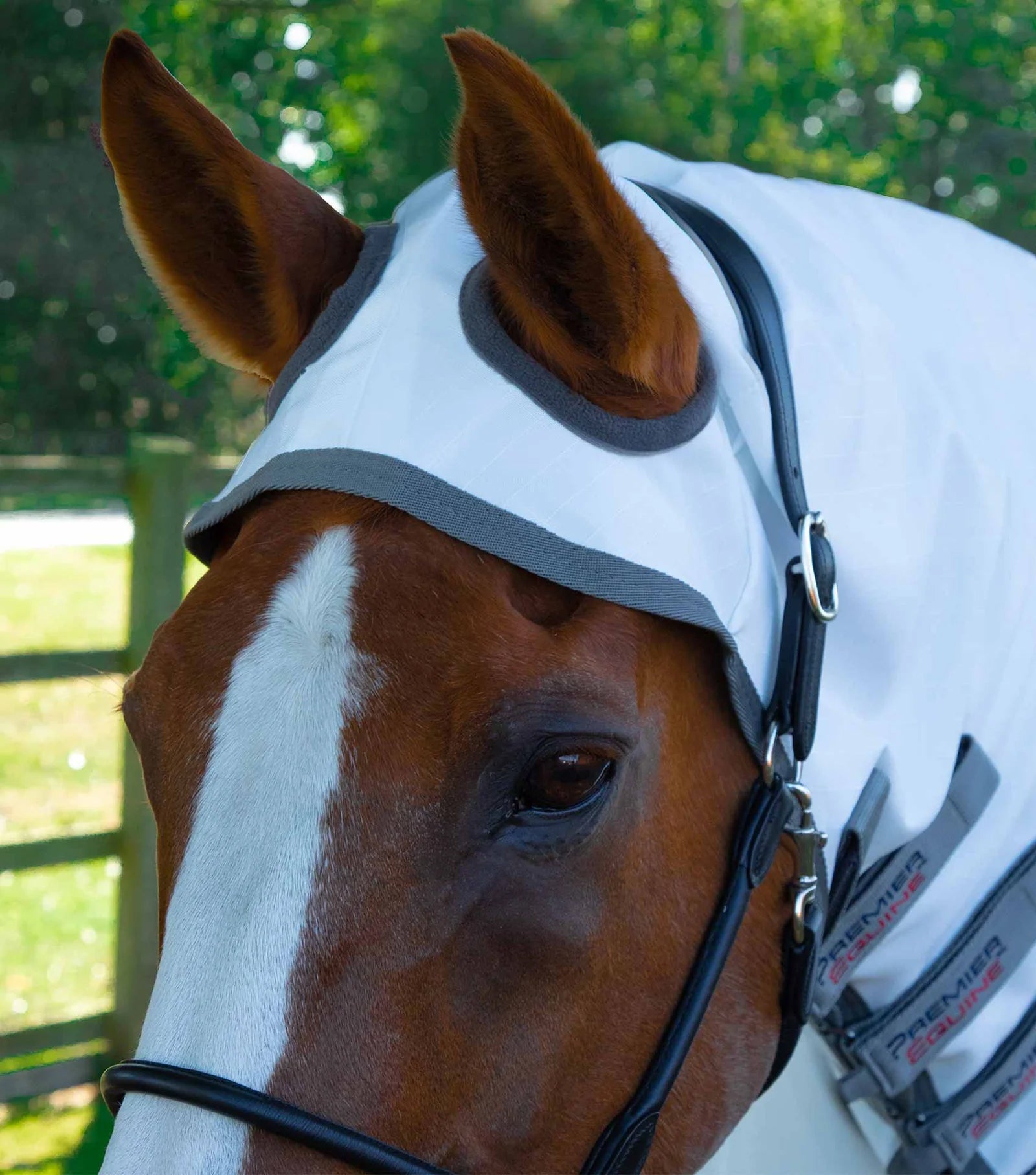 Premier Equine Sweet Itch Buster Fly Rug with Belly Flap-2