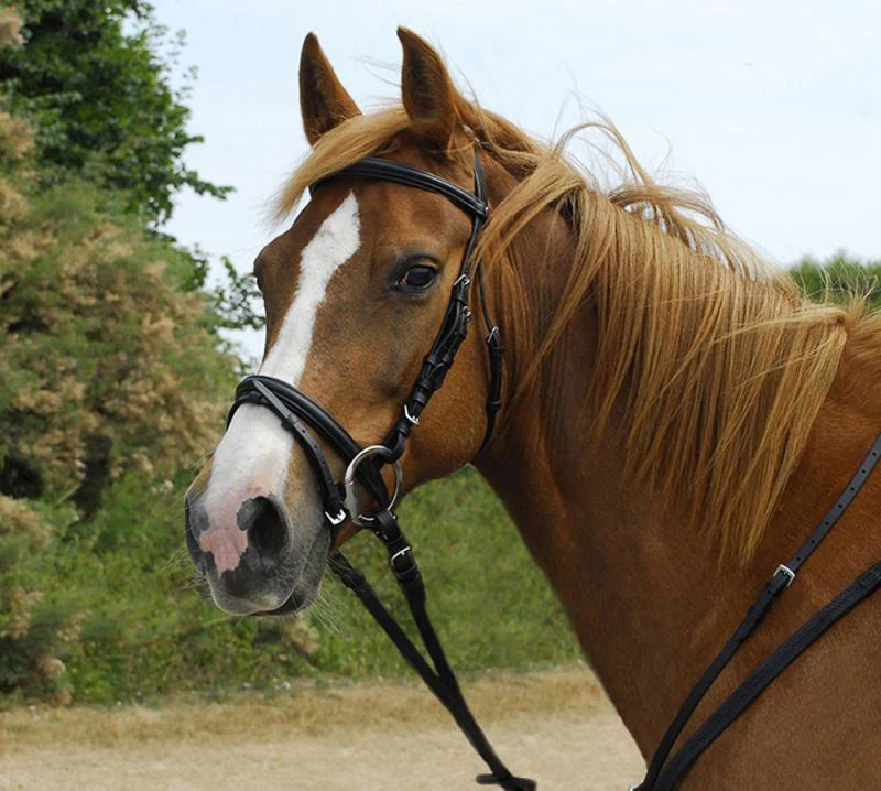 Windsor Leather Shetland  Flash Bridle