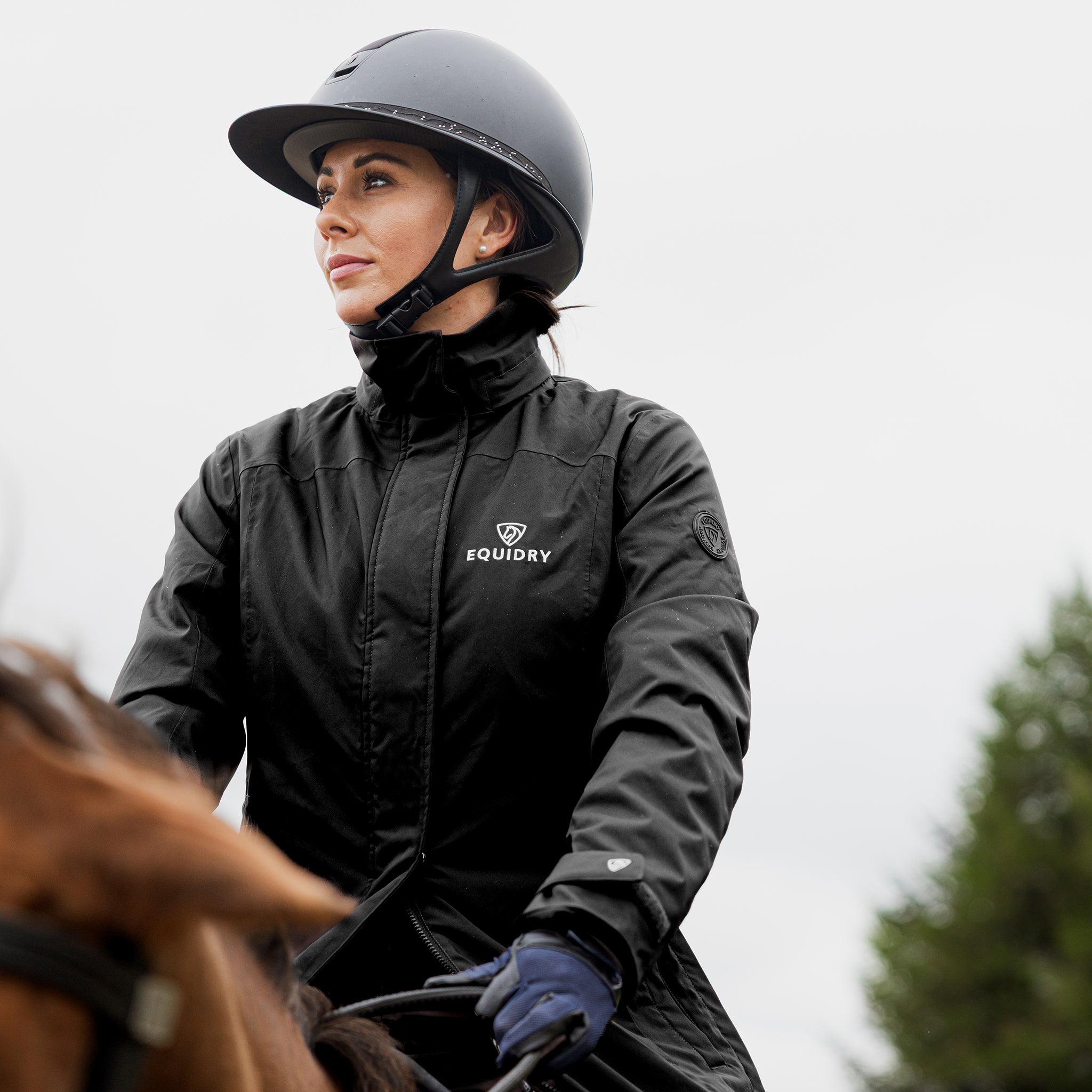 EQUIDRY Bronte